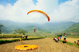 Lễ hội dù lượn ngắm mùa vàng Mù Cang Chải