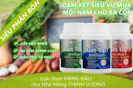 Aset Top 1: Bước Đột Phá Trong Nền Nông Nghiệp Hiện Đại