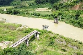 Mùa vàng ở rừng ngập mặn Rú Chá