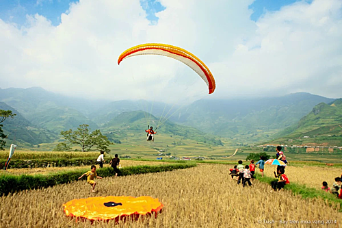 Lễ hội dù lượn ngắm mùa vàng Mù Cang Chải