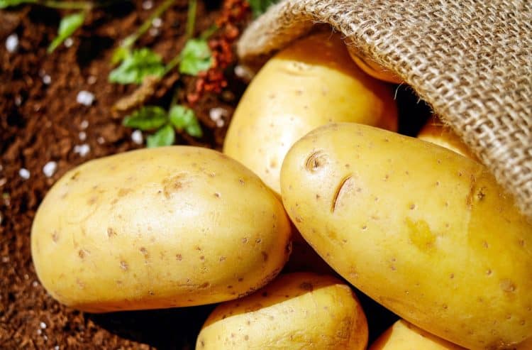Những điều 'đại kị' khi ăn khoai tây mà rất nhiều người Việt vẫn mắc phải
