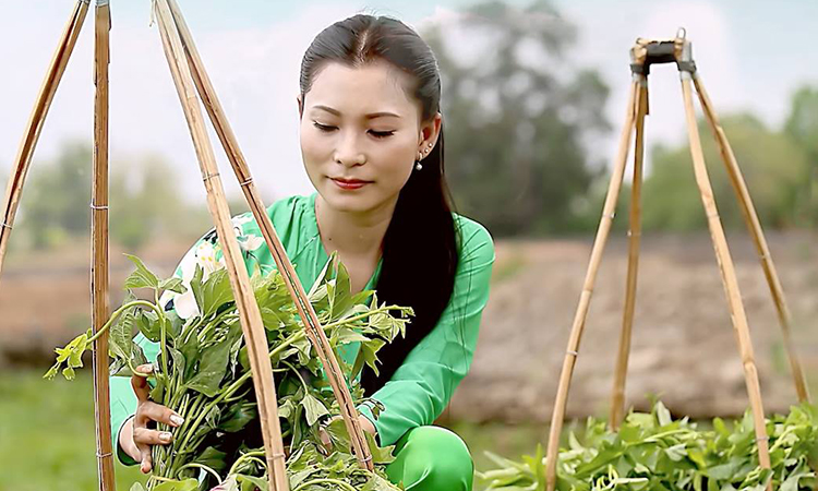 Ca khúc 'Dưới quê vui hơn' gây sốt mạng xã hội Mỹ