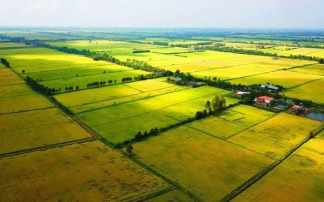 4 trường hợp được miễn tiền sử dụng đất từ năm 2025