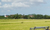 Người đàn ông tử vong sau 2 ngày nhập viện vì sốt xuất huyết